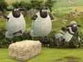 Peli Shaun Lammas: Avaruusurheilu verkossa