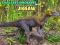 Peli Pienimpien dinosauruspalapeli verkossa