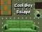 Peli Cool Pojan Pako verkossa