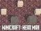 Peli Minicraft: Pääsota verkossa