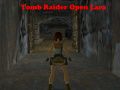 Peli Tomb Raider: Avoin Lara verkossa