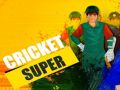 Peli Super Kriketti verkossa