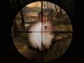 Peli Klassinen Jänissnaipperin Metsästys 2019 verkossa