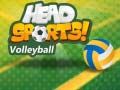 Peli Head Sports Lentopallo verkossa