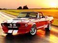 Peli Erityiset Mustang Eroavaisuudet verkossa