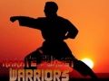 Peli Karate Auringonlasku Soturit verkossa