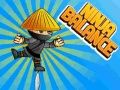 Peli Ninja Tasapaino verkossa