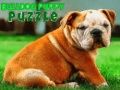 Peli Bulldog Pentupuzzle verkossa