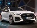 Peli Audi SQ5 TDI Liukuminen verkossa