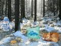 Peli Talven Ihmemaa Metsäseikkailu verkossa