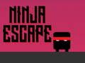 Peli Ninjapako verkossa