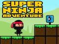 Peli Super Seikkailu Ninja verkossa