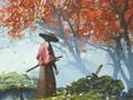 Peli Samuraiden Heijastus verkossa