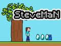 Peli Steveman verkossa