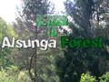 Peli Paluu Alsungan metsään verkossa