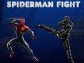 Peli Spiderman Taistelu verkossa