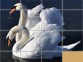 Peli ElÀinten Liukupuzzle verkossa Peli ElÀinten Liukupuzzle verkossa