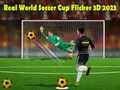 Peli Todellinen Maailman Cup Jalkapallo Flicker 3D 2023 verkossa Peli Todellinen Maailman Cup Jalkapallo Flicker 3D 2023 verkossa