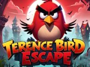 Peli Terence Lintu Pako verkossa Peli Terence Lintu Pako verkossa