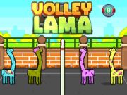 Peli Volley Lama verkossa