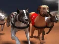 Peli Greyhound-kilpailu verkossa
