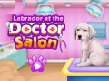 Peli Labrador eläinlääkärillä verkossa