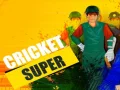 Peli Super Kriketti verkossa Peli Super Kriketti verkossa