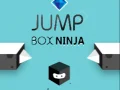 Peli Hyppykotelo Ninja verkossa