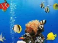 Peli Meren Alla Olevat Erot verkossa