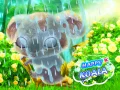 Peli Iloinen Koala verkossa