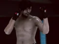 Peli MFS: MMA Taistelija verkossa