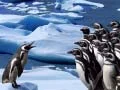 Peli Pingviinit Liukuvat verkossa
