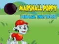 Peli Marshall-pikkukoiran Ninja-patrulli verkossa Peli Marshall-pikkukoiran Ninja-patrulli verkossa
