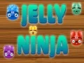 Peli Liivateen Ninja verkossa