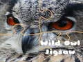 Peli Villilinnun Palapeli verkossa