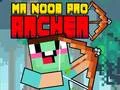Peli Herra Noob Pro Jousimies verkossa