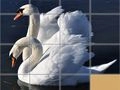 Peli Eläinten Liukupuzzle verkossa Peli Eläinten Liukupuzzle verkossa