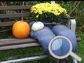 Peli Syyspuutarha: LöydÀ 100 perhosta verkossa Peli Syyspuutarha: LöydÀ 100 perhosta verkossa