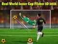Peli Todellinen Maailman Cup Jalkapallo Flicker 3D 2023 verkossa Peli Todellinen Maailman Cup Jalkapallo Flicker 3D 2023 verkossa