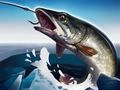 Peli Jääkalastus 3D verkossa Peli Jääkalastus 3D verkossa
