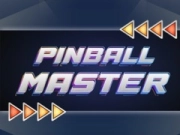 Peli Pallonpelin Mestari verkossa Peli Pallonpelin Mestari verkossa