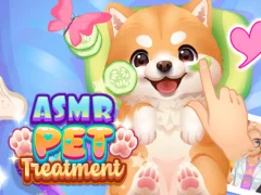 Peli ASMR PET-hoito verkossa