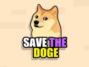 Peli Tallenna Doge verkossa