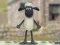 Peli Shaun Lammas: Villahyppy! verkossa