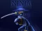 Peli Ninja Juoksu verkossa