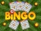 Peli Bingo verkossa