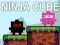 Peli Ninja Kuutio verkossa Peli Ninja Kuutio verkossa