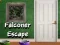 Peli Falconerin pakomatka verkossa