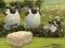 Peli Shaun Lammas: Avaruusurheilu verkossa