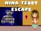 Peli Nina Teddy Pako verkossa